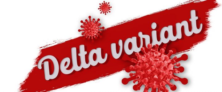 Delta Variant Ignites Volatility